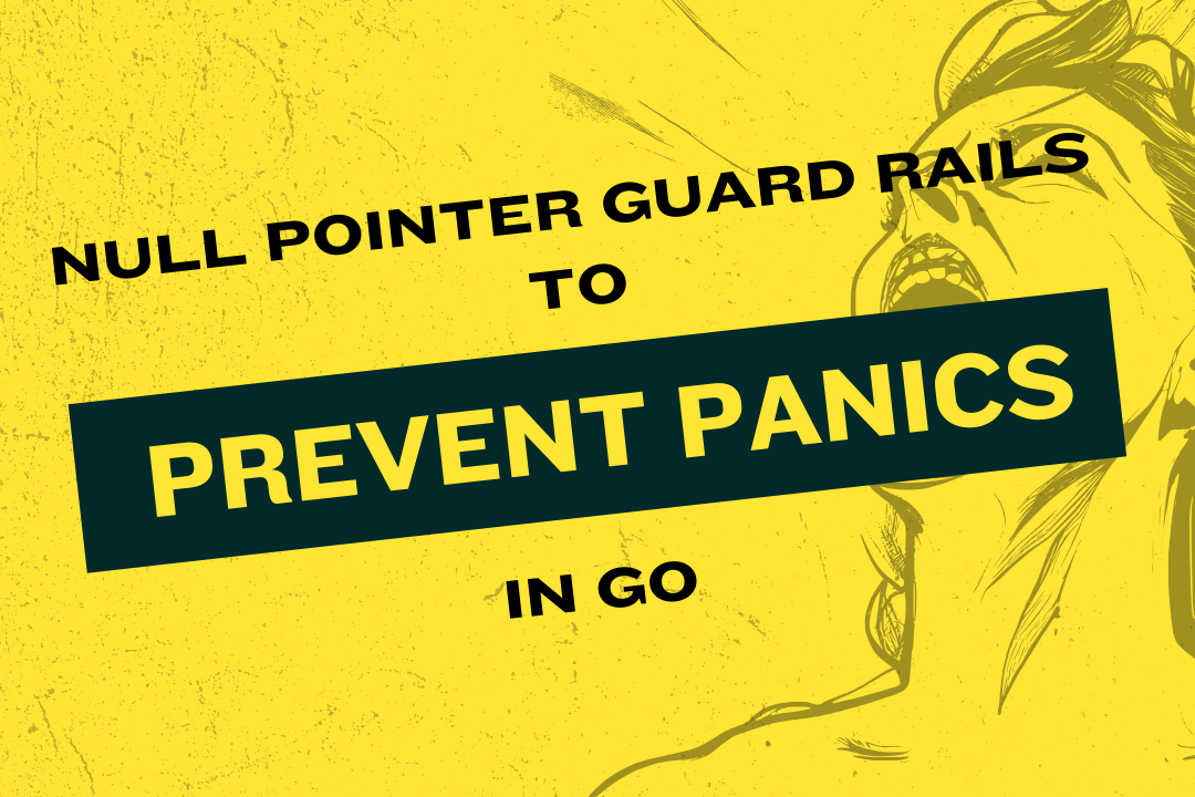 Null pointer guard rails to prevent panics in Go
